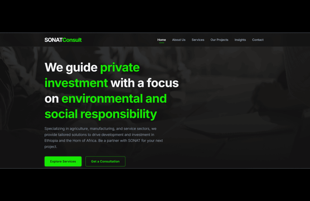Portfolio item 1